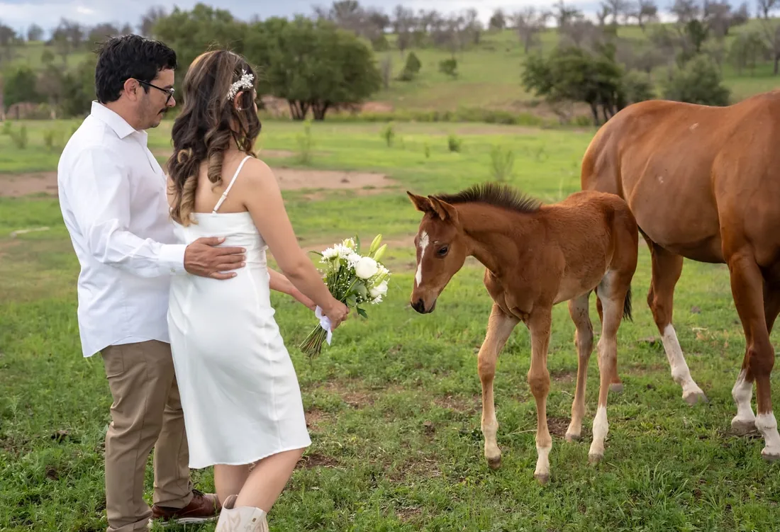 La pareja acercándose a un potro